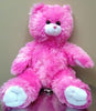 Sing Your Name - Fuzzy Pink Bear