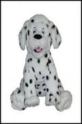 Sing Your Name - Dalmatian