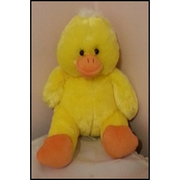 Sing Your Name - Duck
